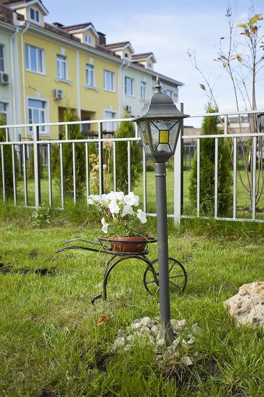 Задний двор